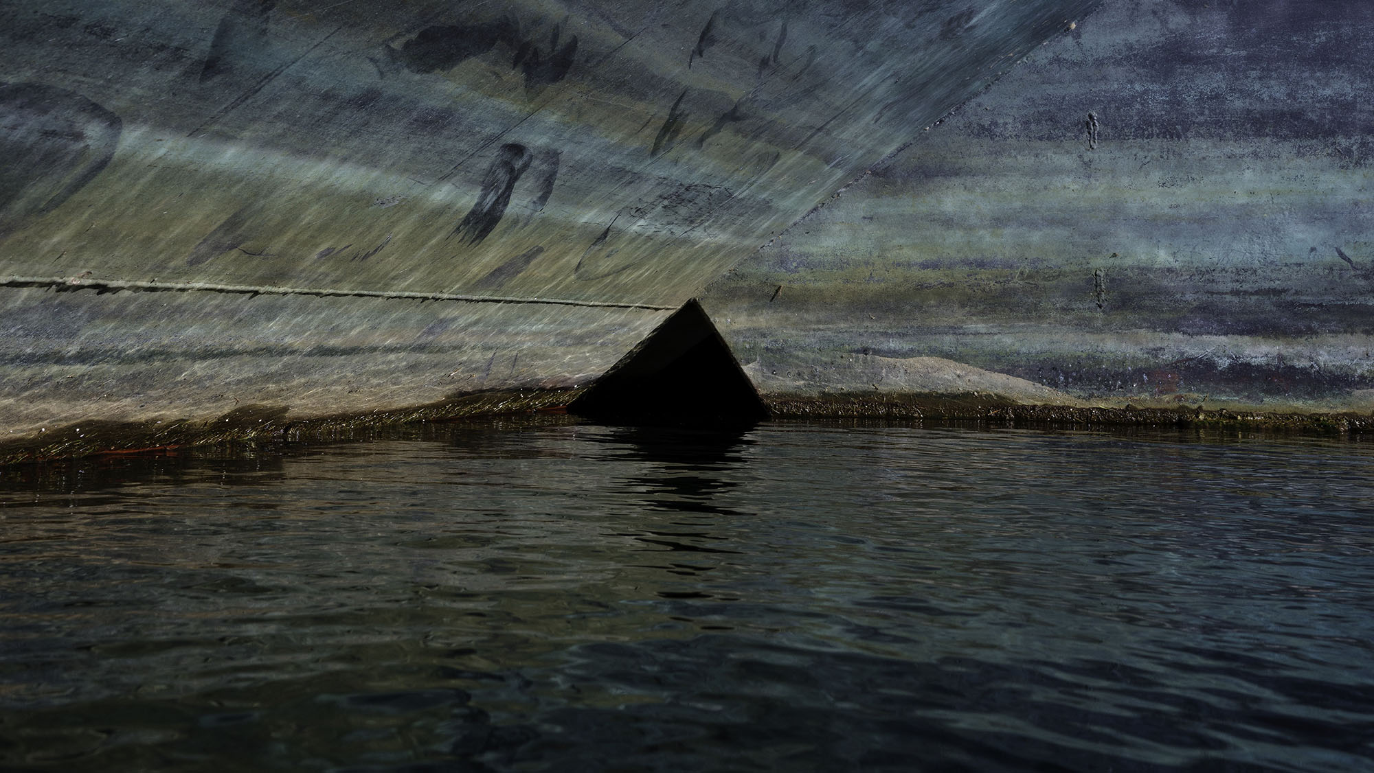 Leviathan Rising Leviathan Rising