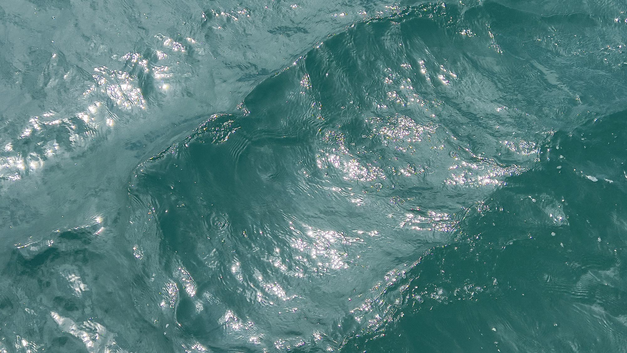 Bob Farese, Jr.: A Perfect Medium