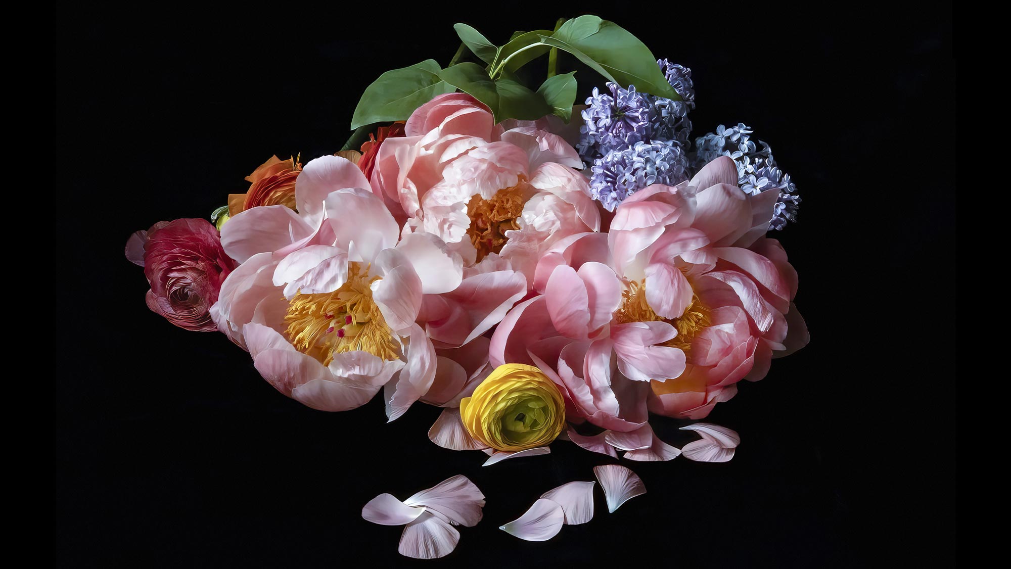 Jane Fulton Alt: Still Life